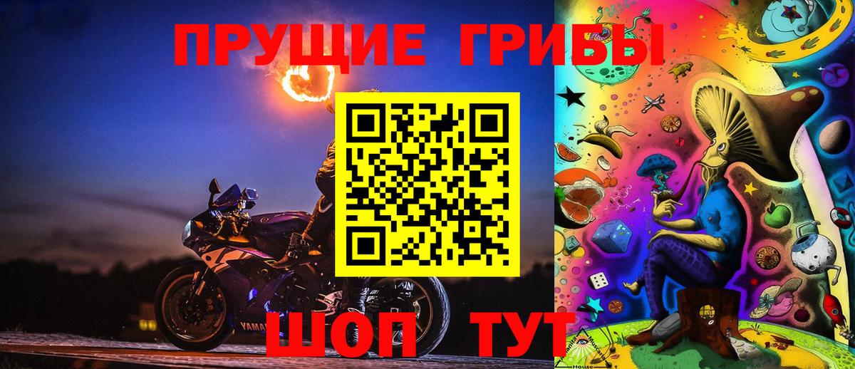 Псилоцибиновые грибы GOLDEN TEACHER  Вход с VPN  Галлюциногенные грибы Psilocybine cubensis  Партизанск 